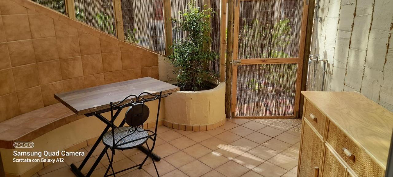 Surf & Chill Bungalow 69, Quiet Green Oasis With Community Swimmingpool Parque Holandes Exteriér fotografie