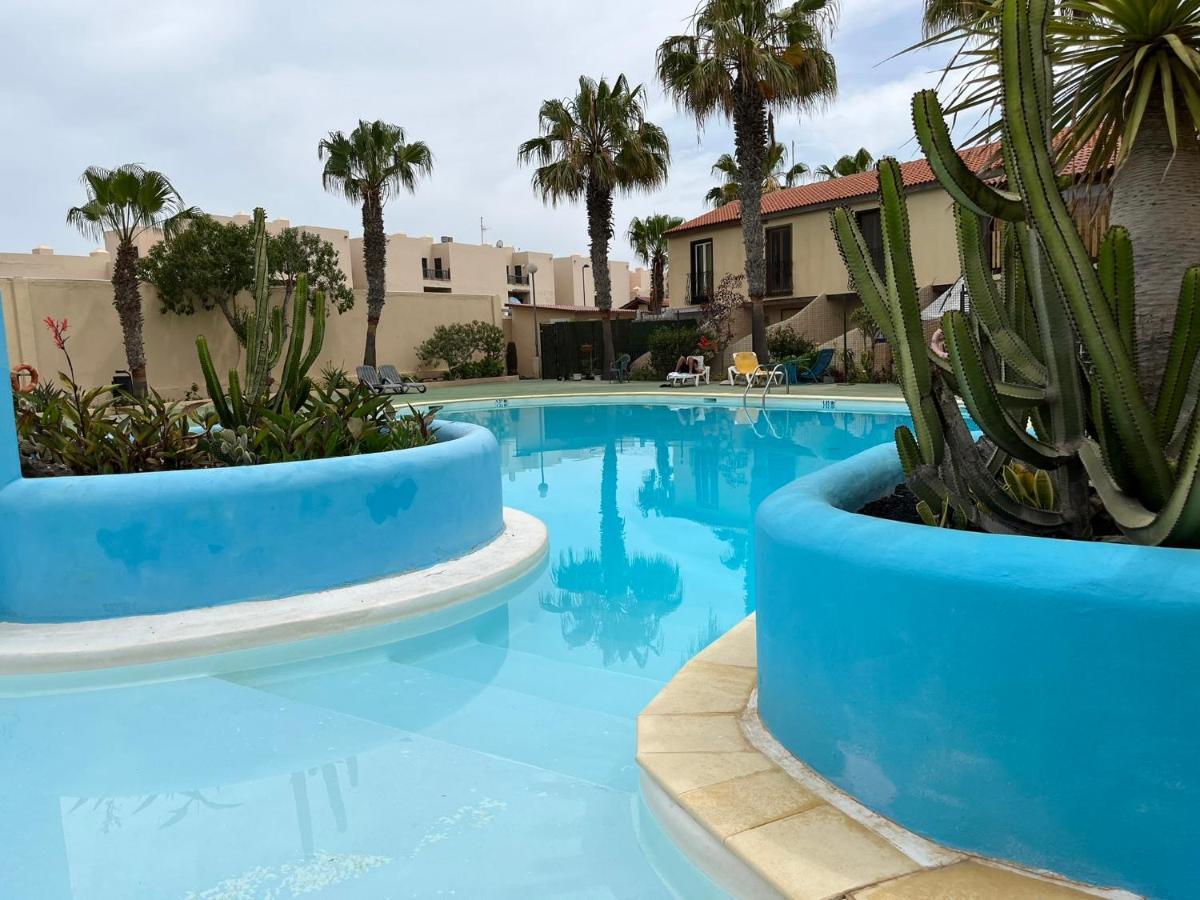Surf & Chill Bungalow 69, Quiet Green Oasis With Community Swimmingpool Parque Holandes Exteriér fotografie