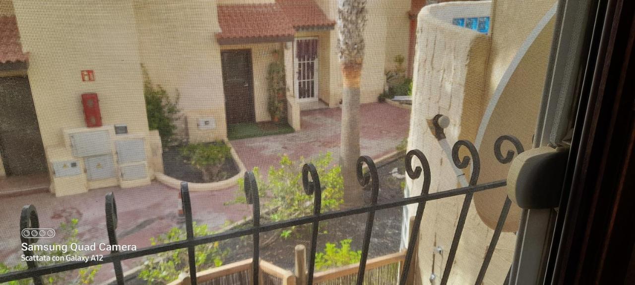 Surf & Chill Bungalow 69, Quiet Green Oasis With Community Swimmingpool Parque Holandes Exteriér fotografie
