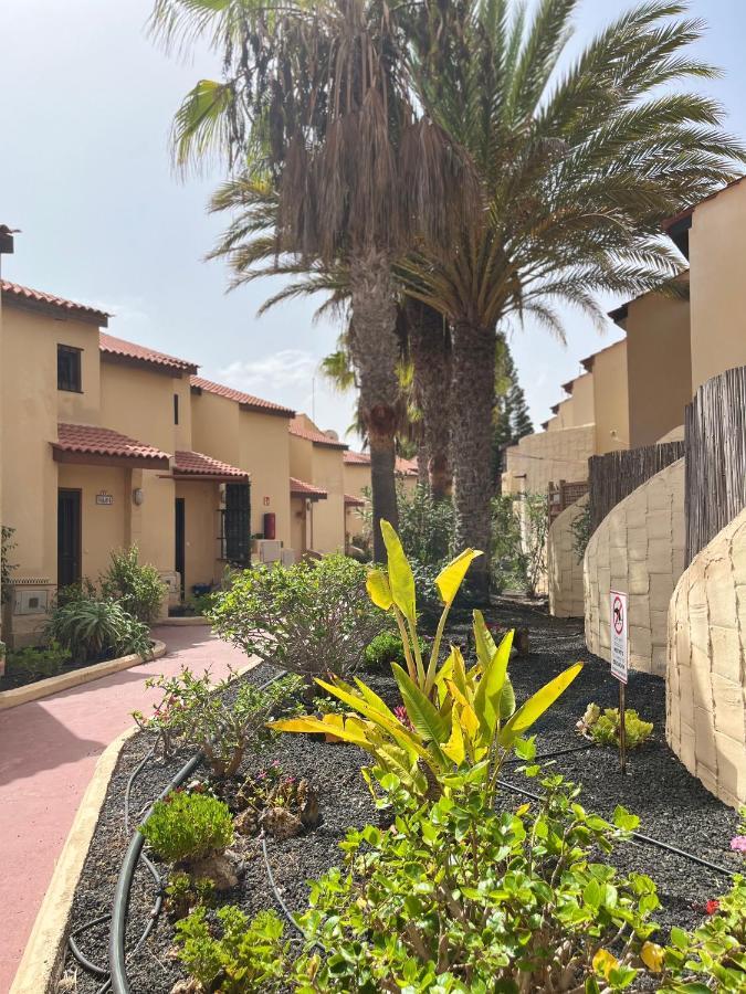 Surf & Chill Bungalow 69, Quiet Green Oasis With Community Swimmingpool Parque Holandes Exteriér fotografie