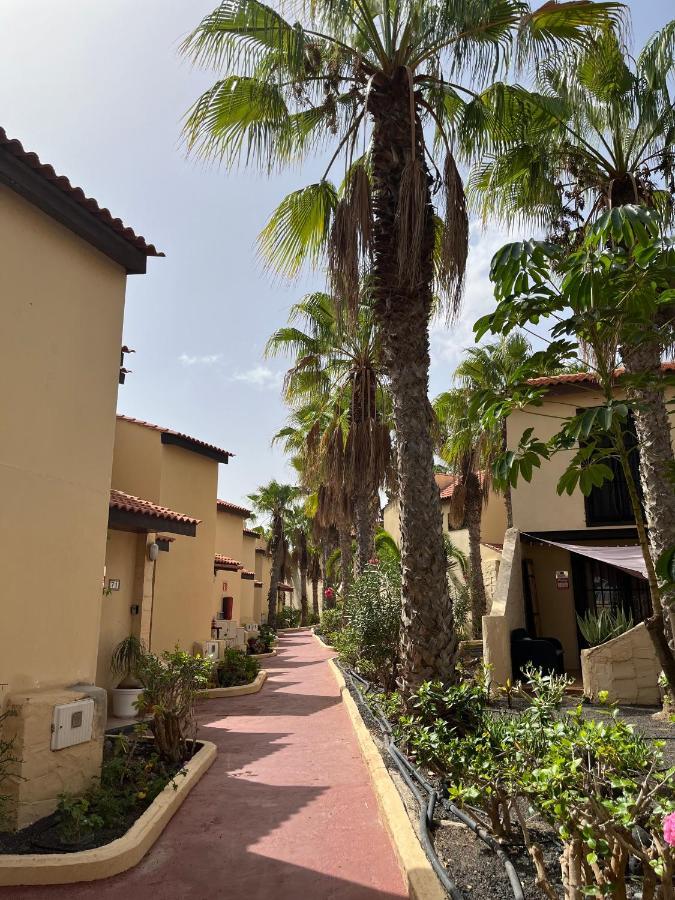 Surf & Chill Bungalow 69, Quiet Green Oasis With Community Swimmingpool Parque Holandes Exteriér fotografie