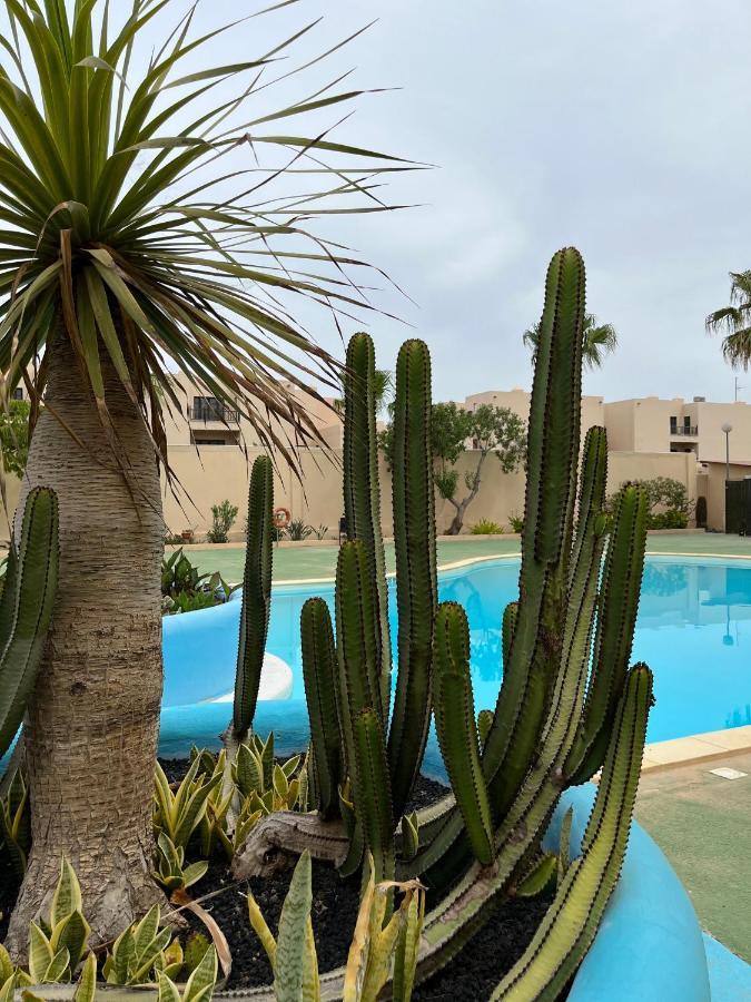 Surf & Chill Bungalow 69, Quiet Green Oasis With Community Swimmingpool Parque Holandes Exteriér fotografie