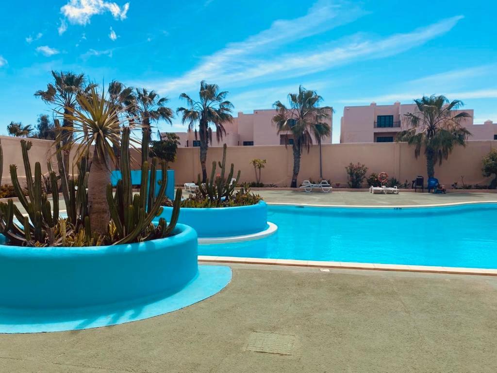 Surf & Chill Bungalow 69, Quiet Green Oasis With Community Swimmingpool Parque Holandes Exteriér fotografie