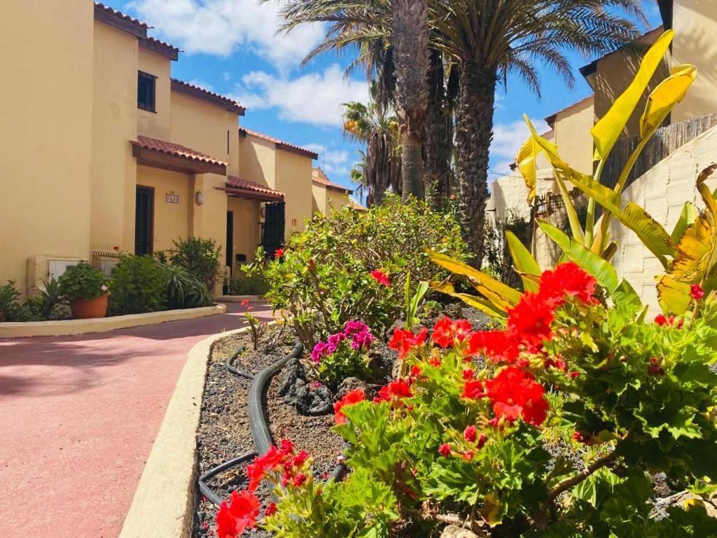Surf & Chill Bungalow 69, Quiet Green Oasis With Community Swimmingpool Parque Holandes Exteriér fotografie