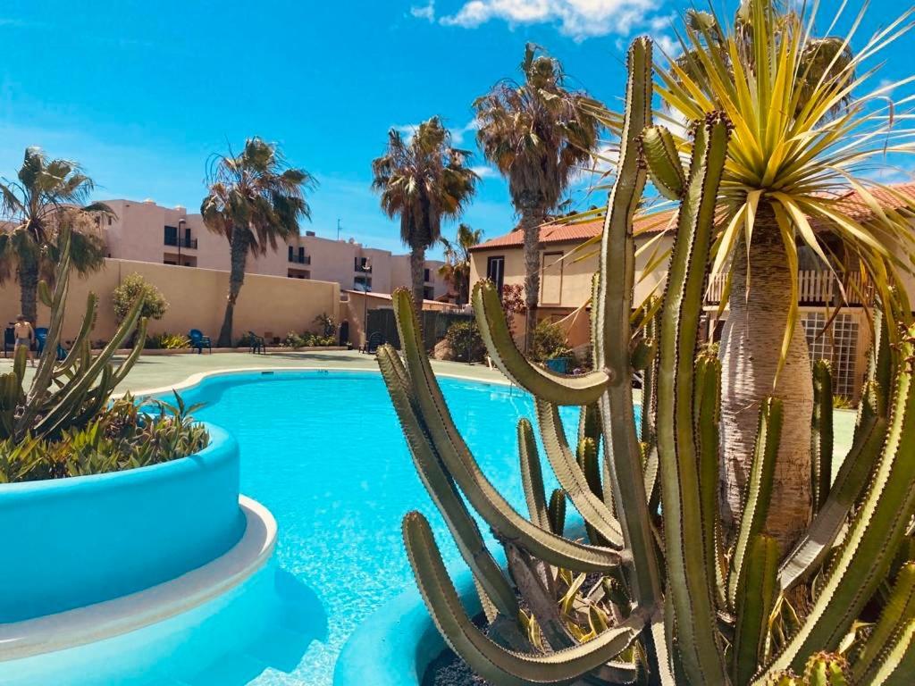 Surf & Chill Bungalow 69, Quiet Green Oasis With Community Swimmingpool Parque Holandes Exteriér fotografie
