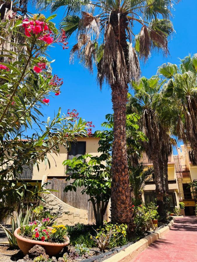 Surf & Chill Bungalow 69, Quiet Green Oasis With Community Swimmingpool Parque Holandes Exteriér fotografie