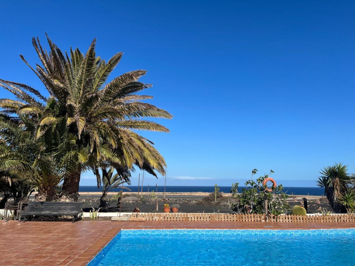 Surf & Chill Bungalow 69, Quiet Green Oasis With Community Swimmingpool Parque Holandes Exteriér fotografie